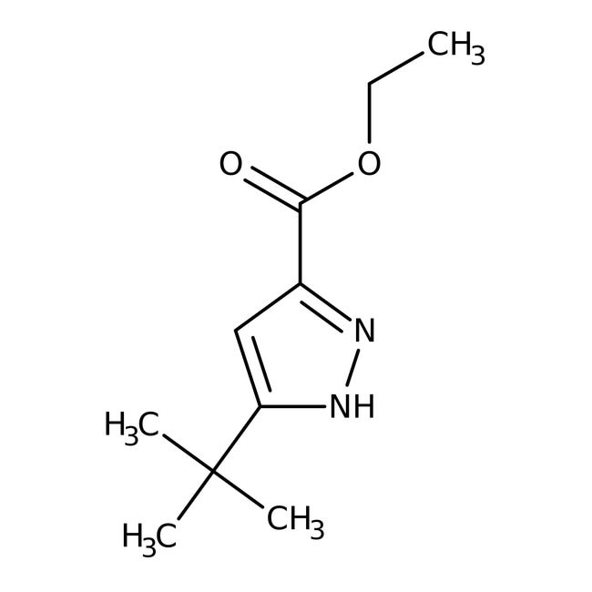 Ethyl-3-tert-Butyl-1-H-Pyrazol-5-Carboxy