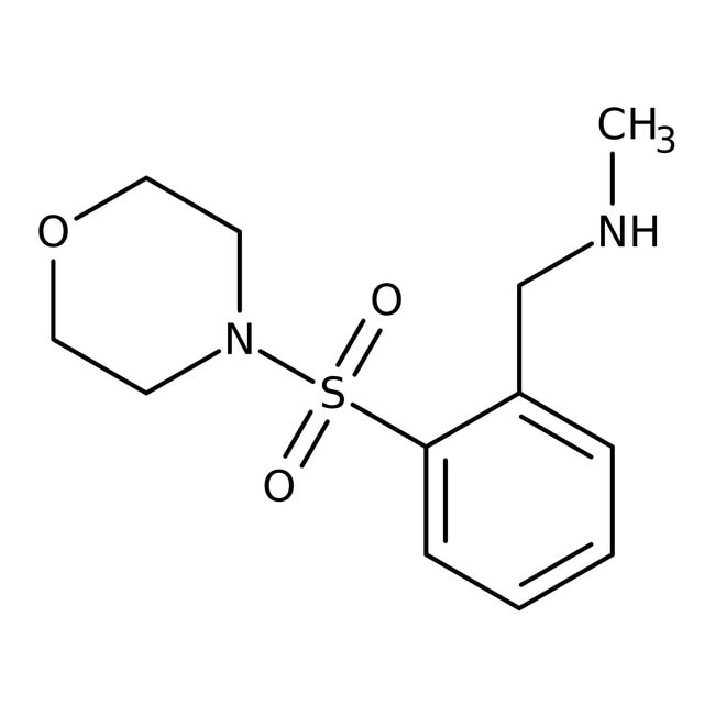 N-Methyl-2-(morpholinosulfonyl)benzylami