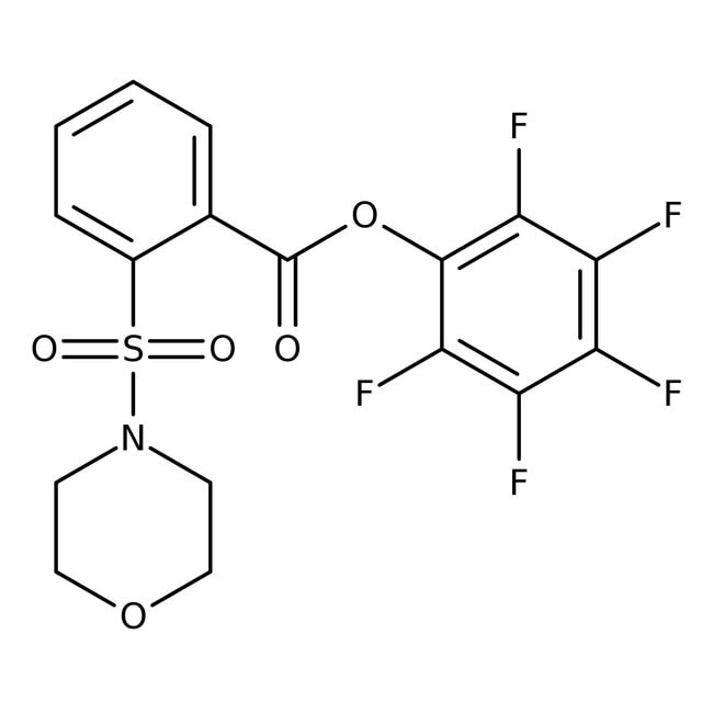 Pentafluorphenyl2-(Morpholinosulfonyl)be