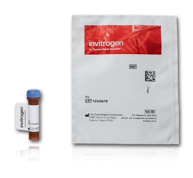 5-CARBOXYFLUORESCEIN-BIS- 1 MG Conjugati