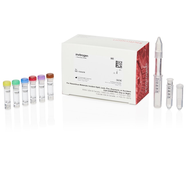 1 KIT SiteClick Antibody Azido Modificat