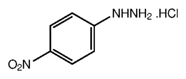 4-Nitrophenylhydrazin Mono- und Dihydroc