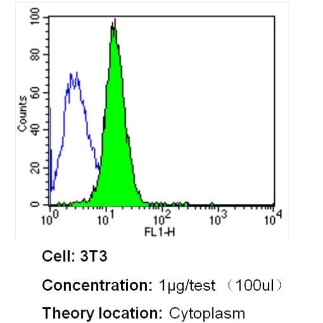 200UG HEME-OXYGENASE-1 MONOCLONAL ANTIBO