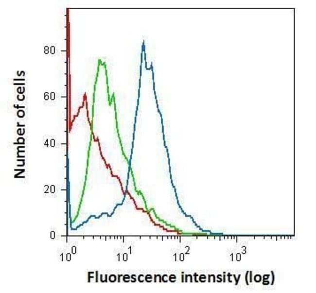 100UL Polyclonal antibody, Iba1, host ra