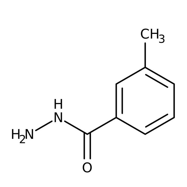 m-Tolylhydrazid, 97 %, Alfa Aesar m-Toly