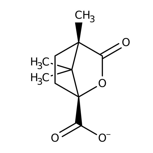 (1S)-(-)-Camphansäure, 99 %, Thermo Scie