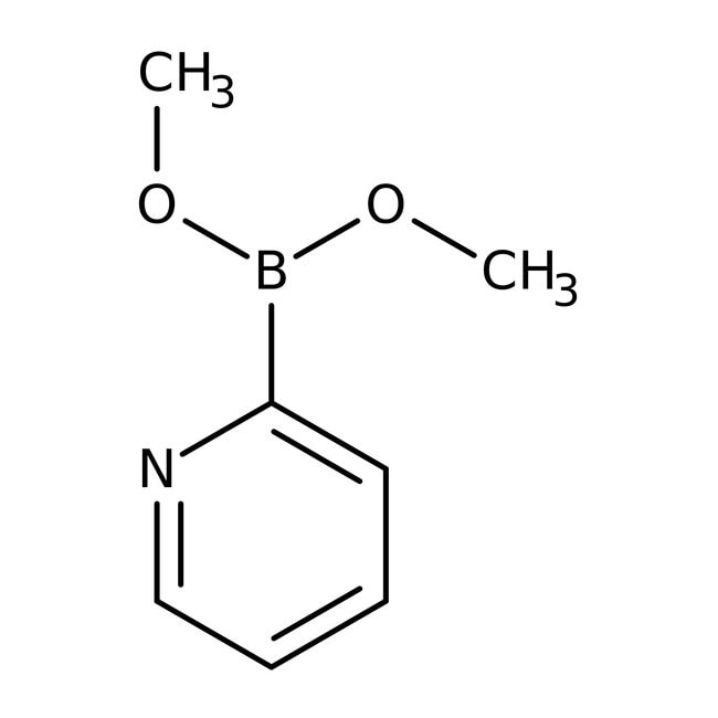 Pyridin-2-Boronsäure-Dimethylester, 95 %