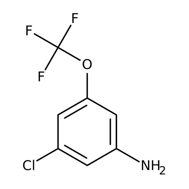 3-Chlor-5-(trifluormethoxy)anilin, 97 %,