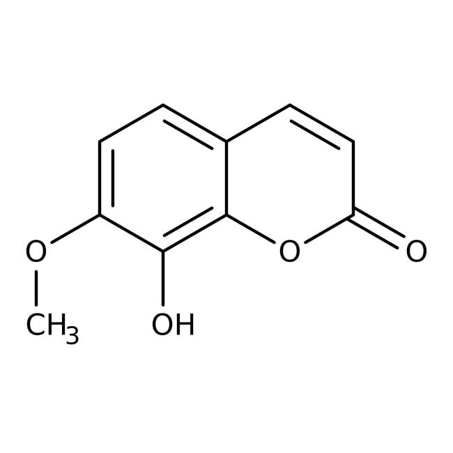 8-Hydroxy-7-Methoxycumarin, 97 %, Alfa A