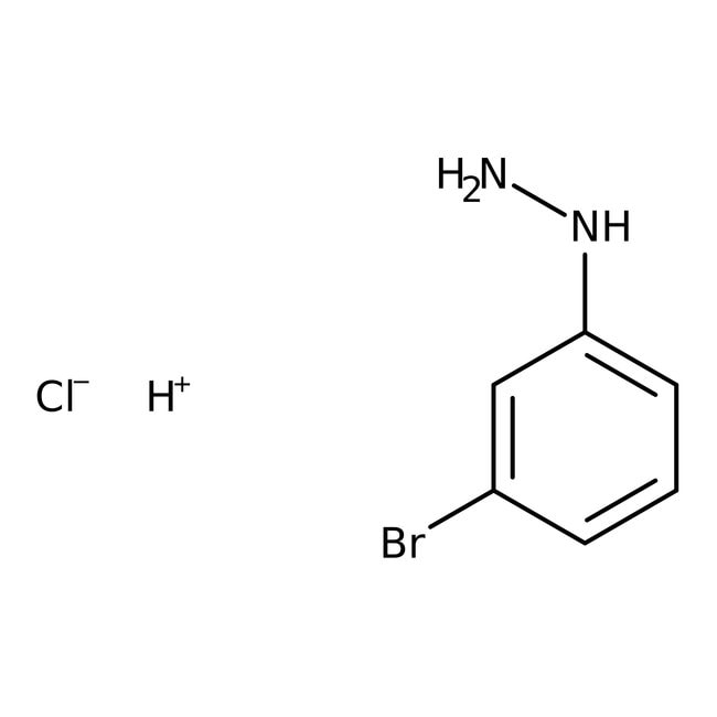 3-Bromphenylhydrazin-Hydrochlorid, 98 %,