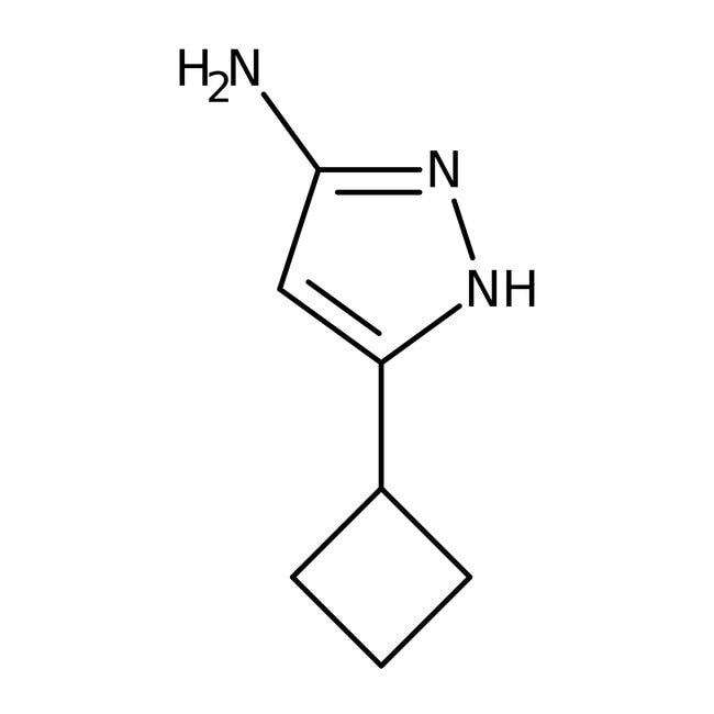 3-Amino-5-cyclobutyl-1H-pyrazol, 97 %, A