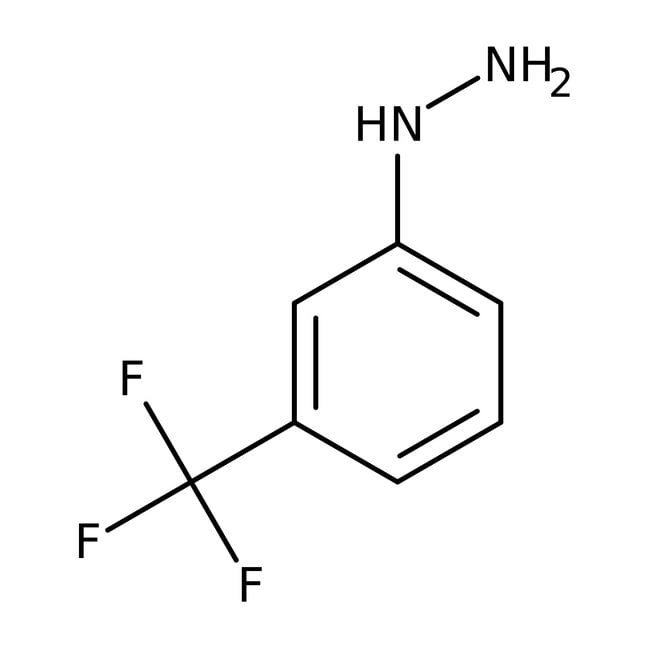 3-(Trifluormethyl)-Phenylhydrazin, 95 %,