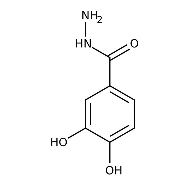 3,4-Dihydroxybenzhydrazid, 97 %, Alfa Ae