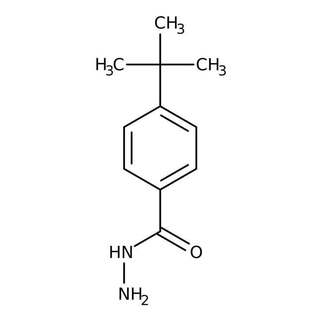 4-tert-Butylbenzhydrazid, 98+%, Alfa Aes