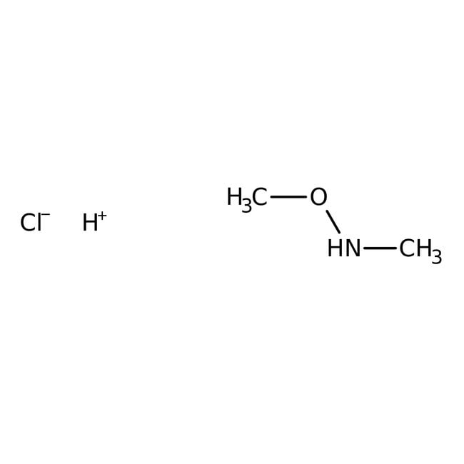 N,O-Dimethylhydroxylaminhydrochlorid, 98