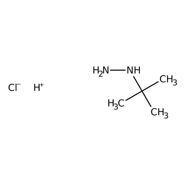 tert-Butylhydrazinhydrochlorid, 98 %, Al