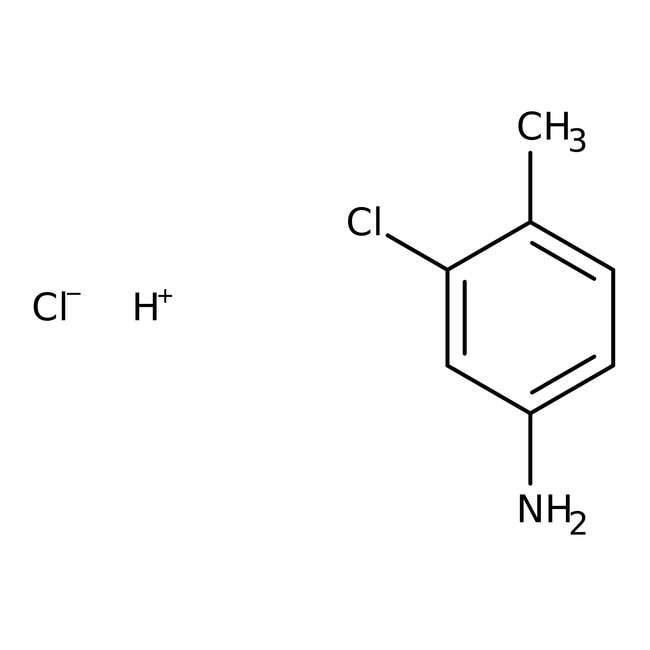 3-Chlor-4-Methylanilin-Hydrochlorid, 97 