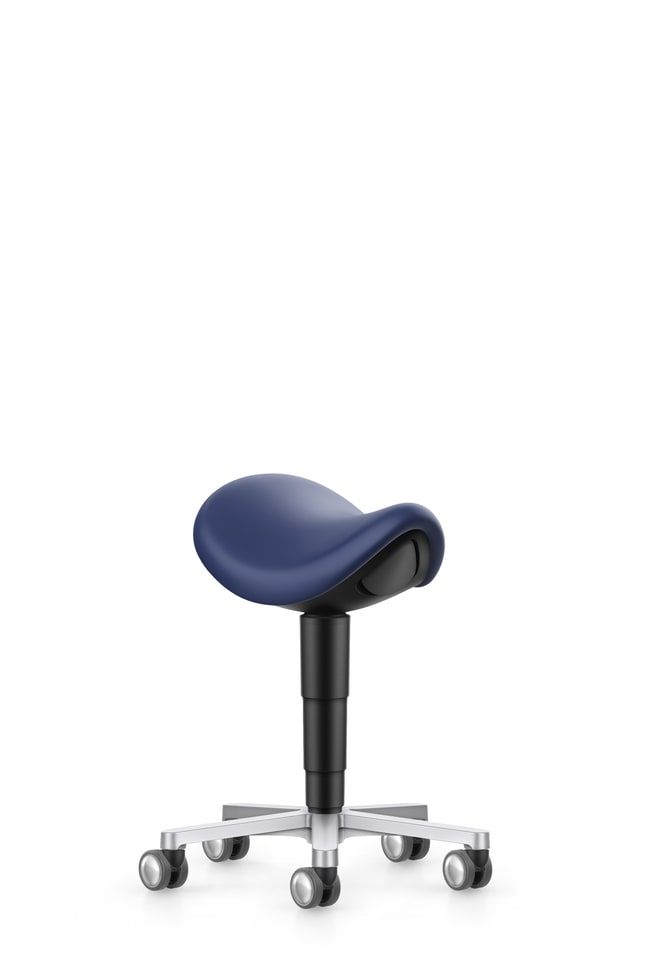 Fisherbrand Saddle chair blue