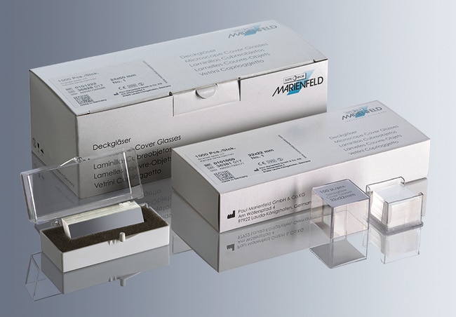 Marienfeld Superior Deckglaser aus Boros
