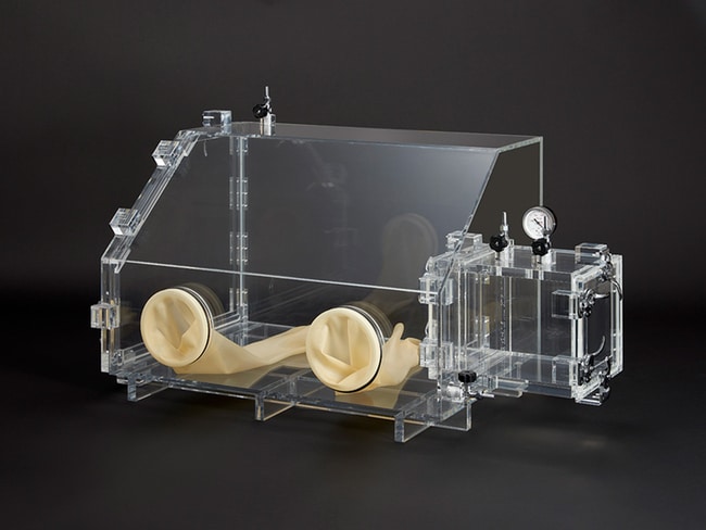 Glove Box Gas Purge type DX-3 type