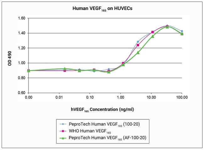 1 MG HUMAN VEGF 165 PEPROTECH
