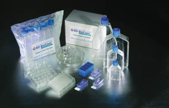 Corning BIOCOAT Collagen IV - 100mm (VE-