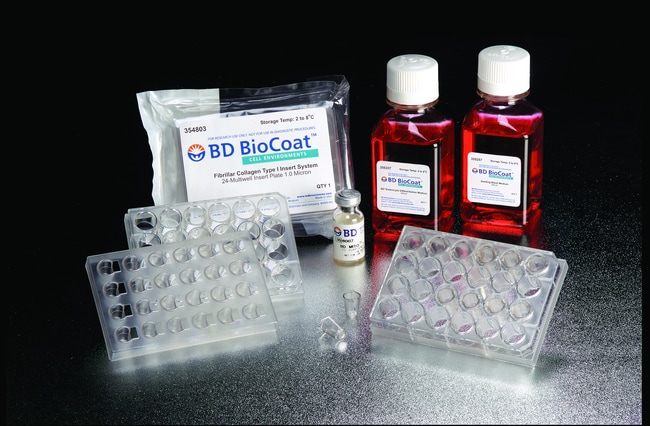 Falcon BIOCOAT Collagen, HTS Multiwell M