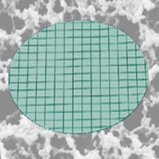 Sartorius Membranfilter aus Cellulosenit