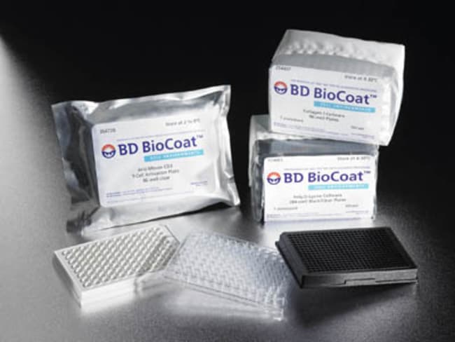 Falcon BIOCOAT Collagen I, 384-well Plat