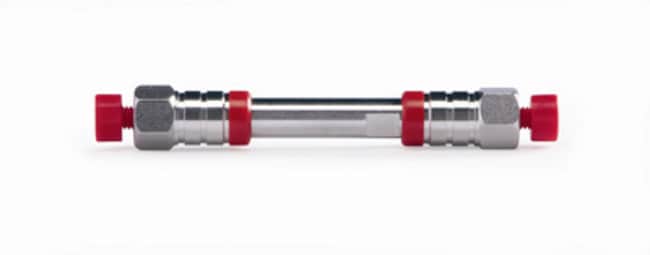 Thermo Scientific Hypersil ODS C18 Saule