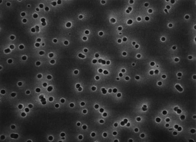 MilliporeSigma Isopore Medienmembranfilt