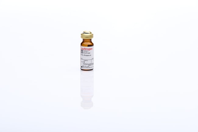 2ML PROTEIN A - FITC ZYMED SKU .