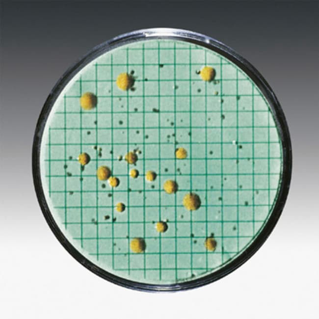 Sartorius Membran aus Cellulosenitrat, P