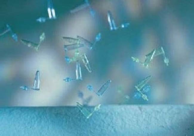 Greiner Bio-One Streifenkappen, Sterile,