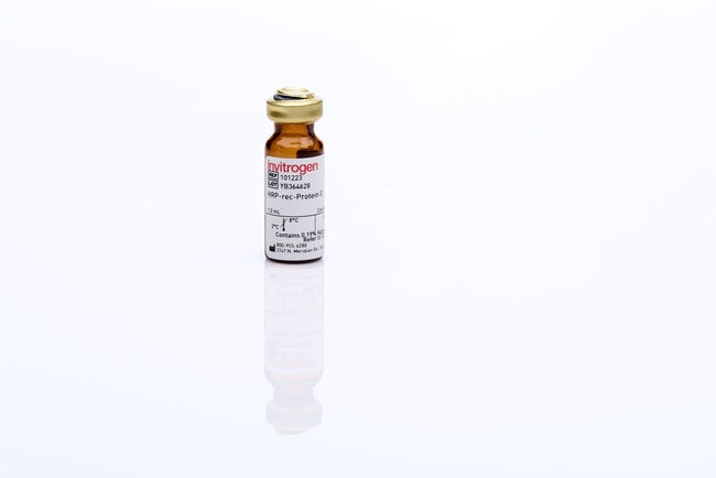 1ML REC. PROTEIN G - HRP ZYMED .
