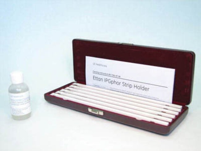 X6 IPGPHOR STRIP HOLDER, 24cm      . .