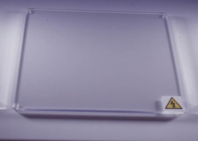 Fisherbrand Beta Base Plate, 1/Cs, MA: C