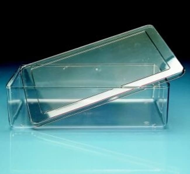 Vitlab SAN Universal-Steckschlussel, Kap