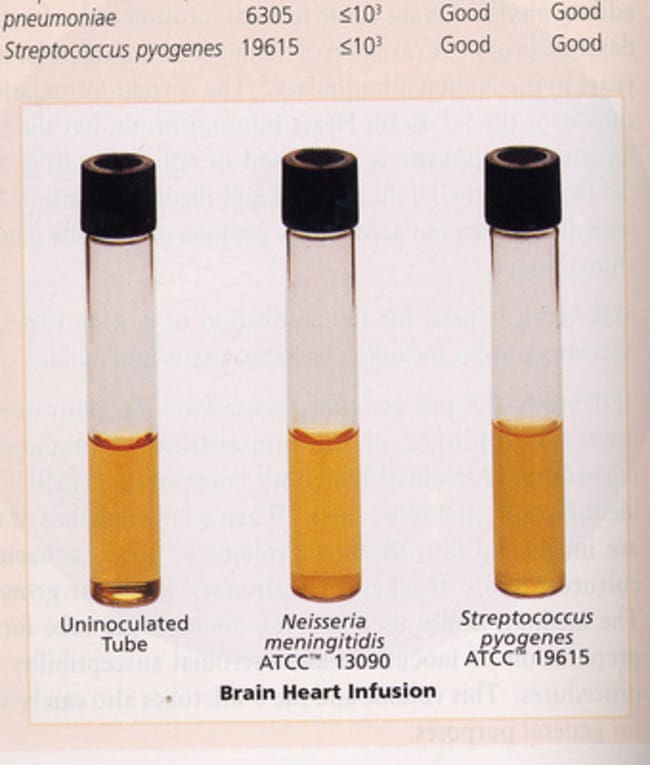 2KG INFUSION HEART BRAIN .