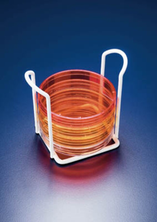 PETRI DISH STAND EPOXY WHITE ., Polyamid