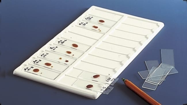 X5 slides tray 40 places PVC 190x660x8mm