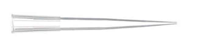 Fisherbrand SureOne MicroPoint Pipettens