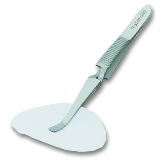 Bochem Pinzette fur Deckglaser, aus 18/1