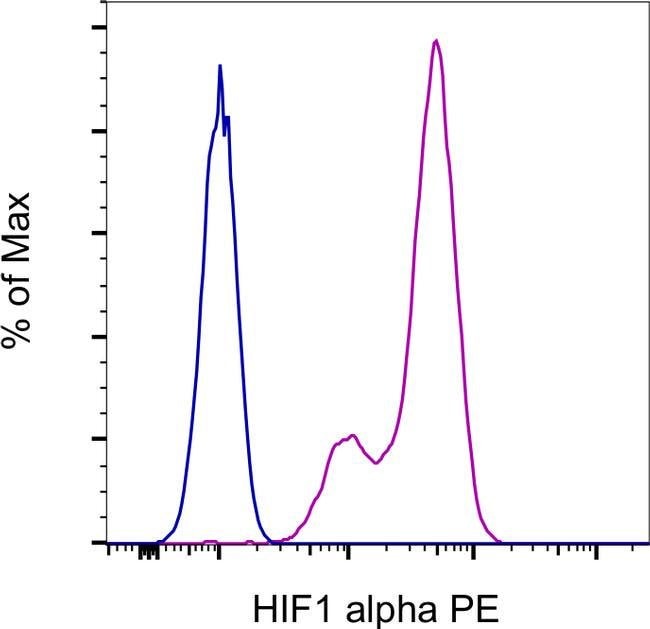 100UG ANTI-HU/MO HIF-1 ALPHA MGC3 PE 100