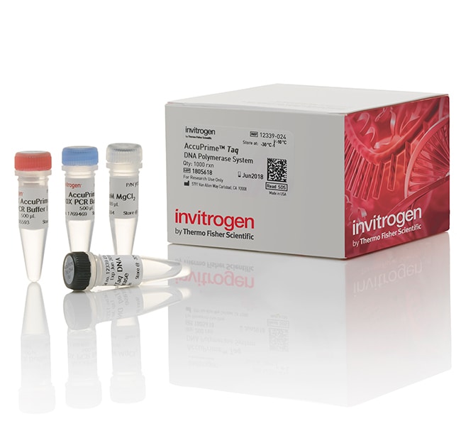 AccuPrime Taq DNA Polymerase, 1000 react