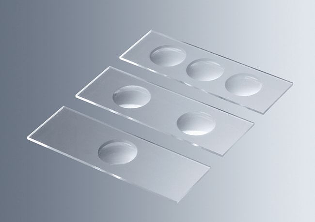Marienfeld Superior Objekttrager mit Ver