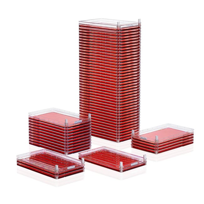 X10 4-trays Cell Factory, 800ml/2528cm2,
