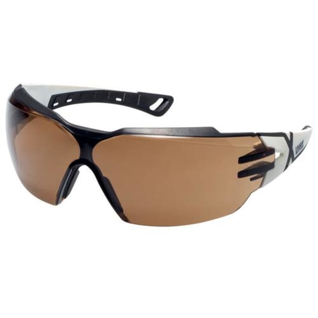 Bügelbrille uvex pheos cx2 CBR23 sv exc.