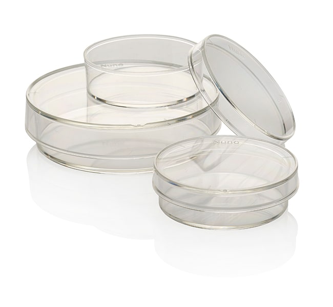 Thermo Scientific Nunc IVF-Petrischalen,
