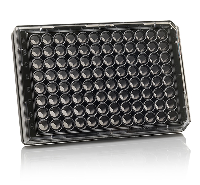 Thermo Scientific Nunc MicroWell 96-Well